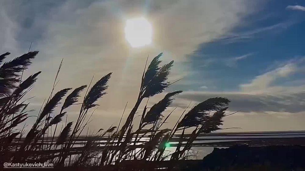 ����� ����������: ������������ ������� #����������������