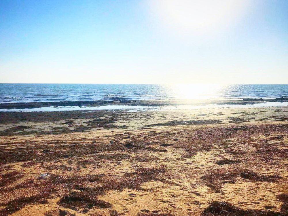 ����� ����������: ��������� ���� ���� � ������� � ��������! � ������ �����!