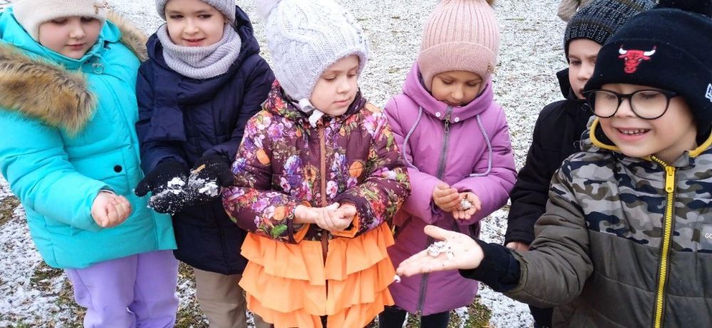 ������ ������ � ���������� ������� ����