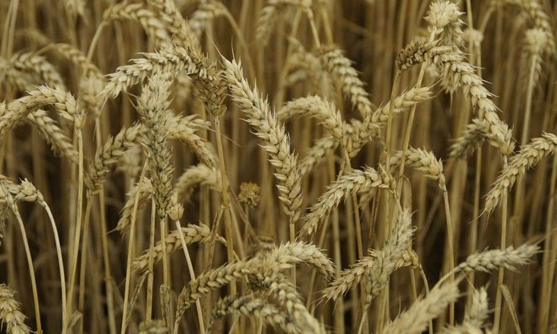 ���������� ������� ��������� ���� �� ������ ������ �������