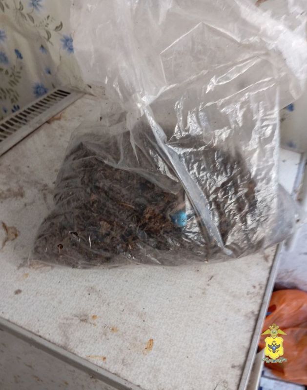 ������ � ����������� � ���������� ������� ������������