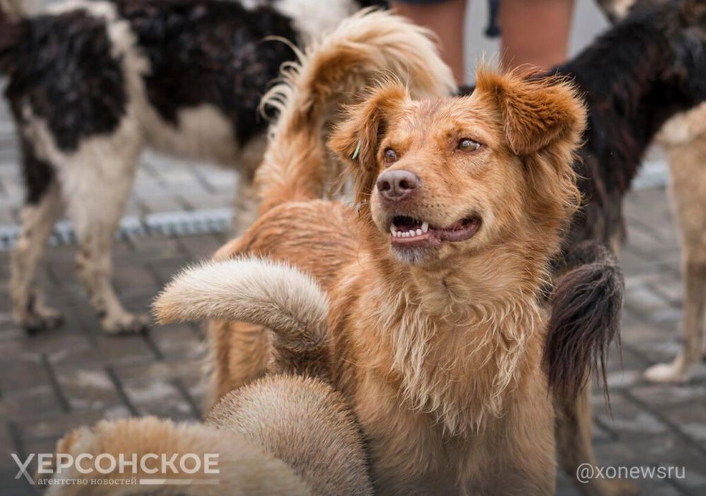 ����: �������� � ��������� �������� ������� ������������ �������