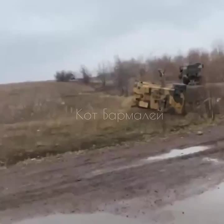 *����� ������ ������ �� �������, ����� ����