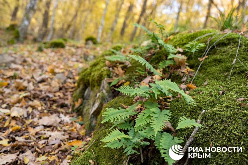 ������ �� ����� ����������� ������