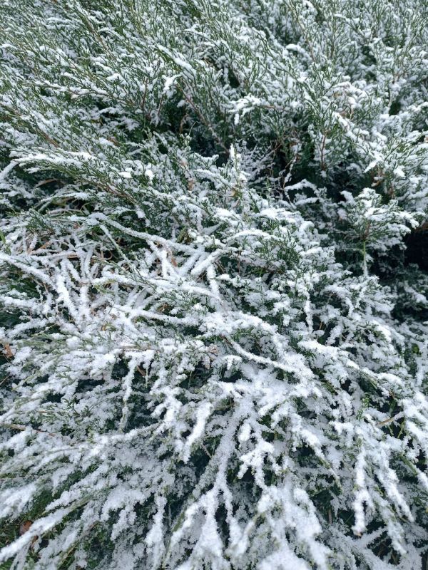 � ������ �����, �����������!