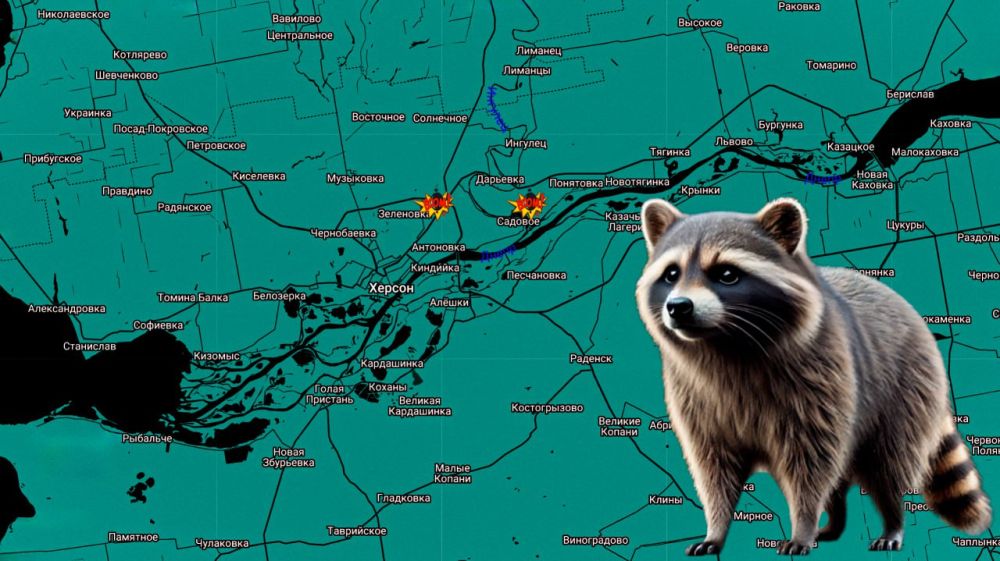 ���� �� �������: ������������� ����������� ����� ������ ������� ��������� ����� ���� � ������� 124-� � 126-� ������ ���������� � ������� ���������� ������� ���������� � ���������� ���������� �������