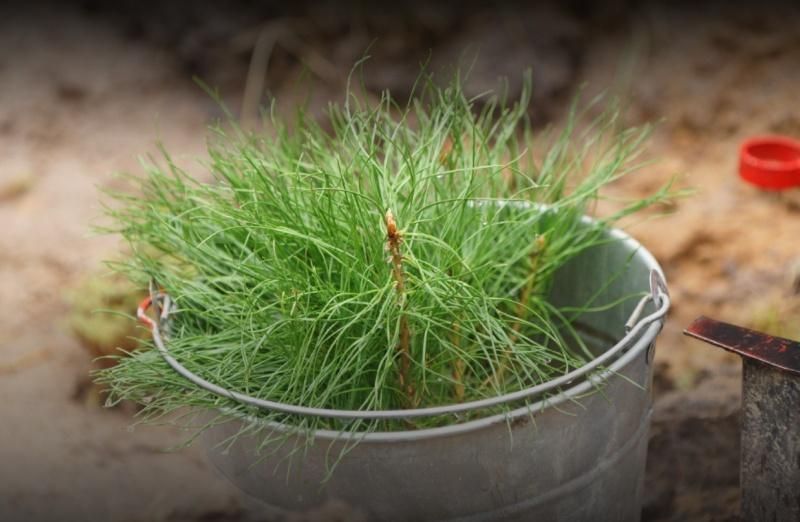 �� ����� ���� � ����������� � ���������� �������� ������� ����� ��������� ���