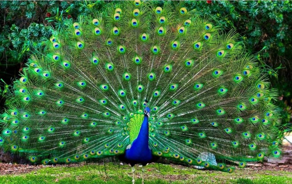 . � �� ����� ��� ������ ��������� ����� �������� ������ ����� ������������. ������ � ����� ������� ����������� ������