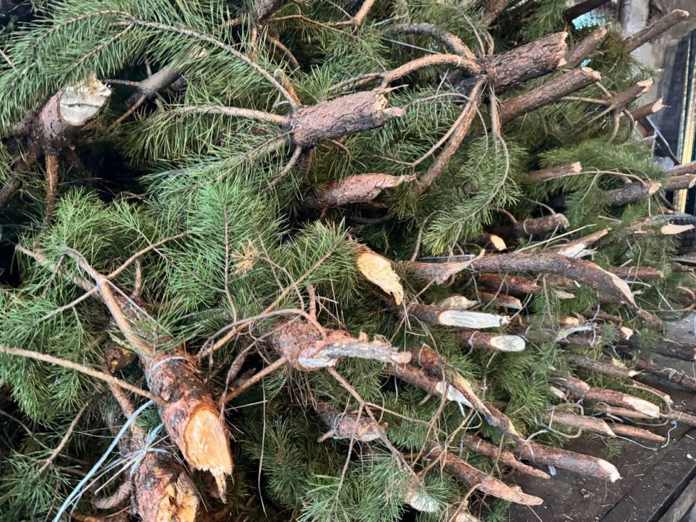 ����� 400 ����� ���� ��������� ����������� ������� ��� ��������������� ���������� ���������� �������