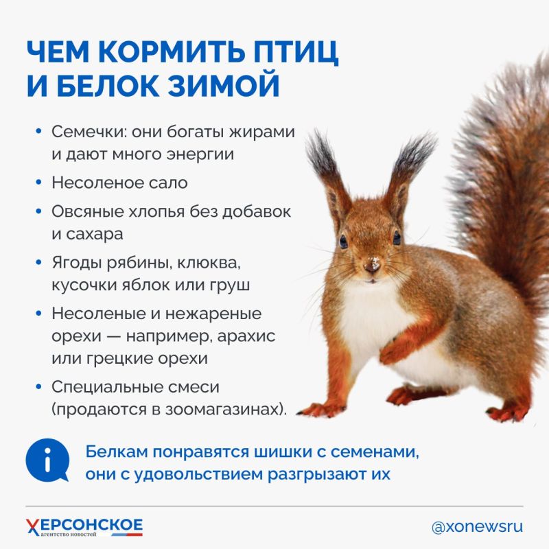 ���� �������� ���� � �����