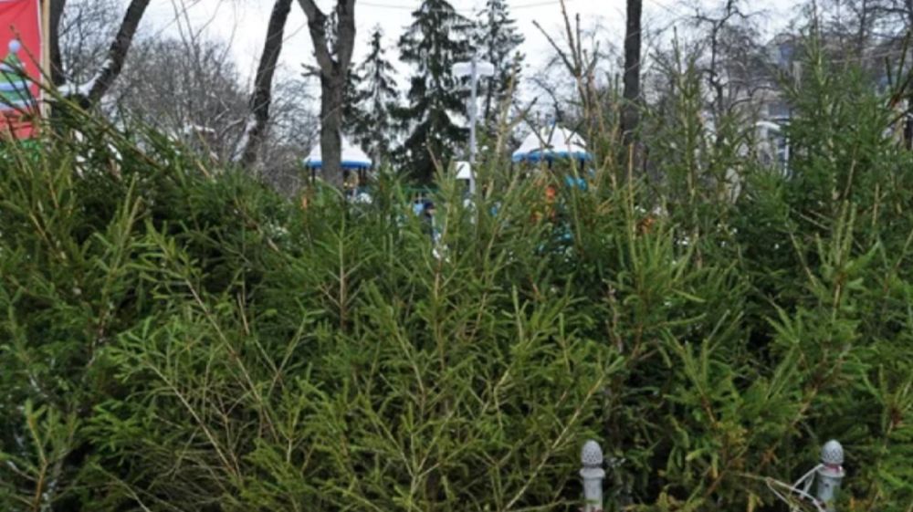 ������� ������ ��������� � ���������� ������� 20 �������