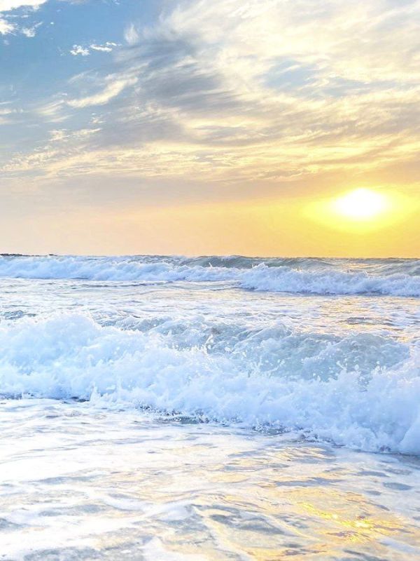 ����� ����������: ����� ����������� ����������� ���� ����� �������� � ���������! ������ ����!