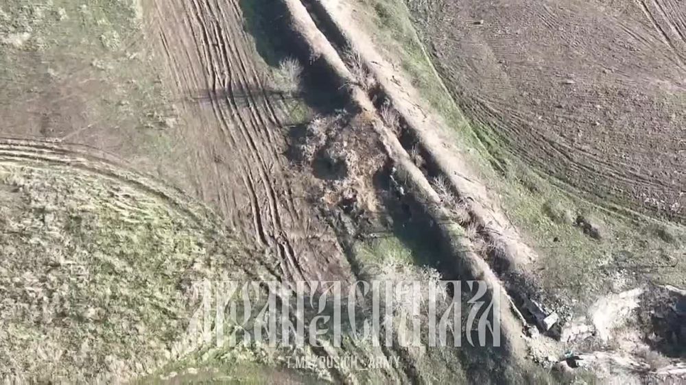 ���������� �����������. ���������� ���� �������� ��������� � ����� ���� � �������