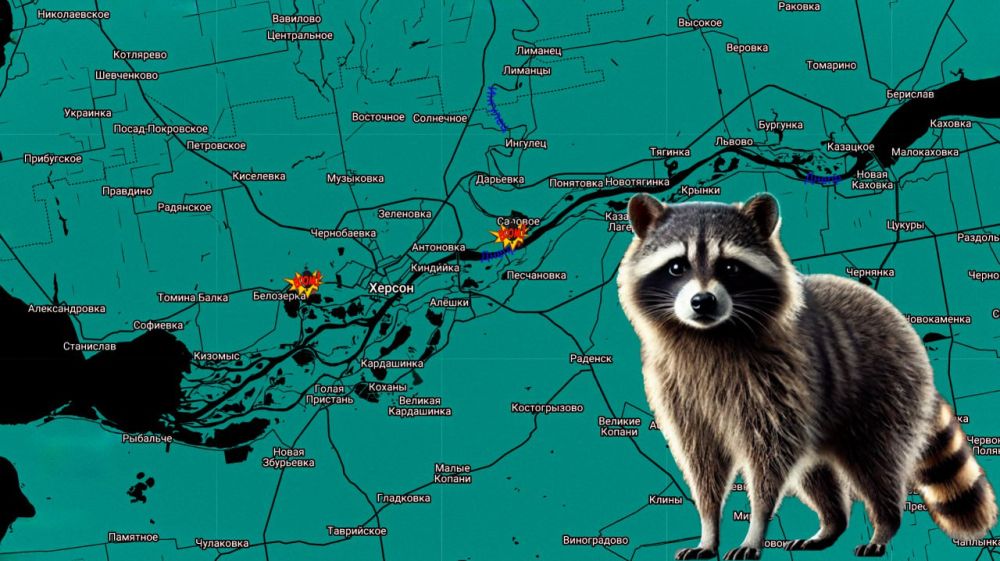 ���� �� �������: ������������� ����������� ����� ������ ������� ��������� ����� ���� � ������� 141-� ��������, 110-� ���������������� ������ ��� � 124-� ������� ���������� � ������� ���������� ������� �������������...