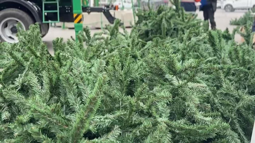 ���������� ������� �������� ���������� � ������ ����