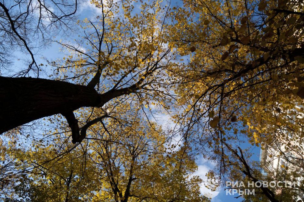 ������ �� ����� ����������� ������