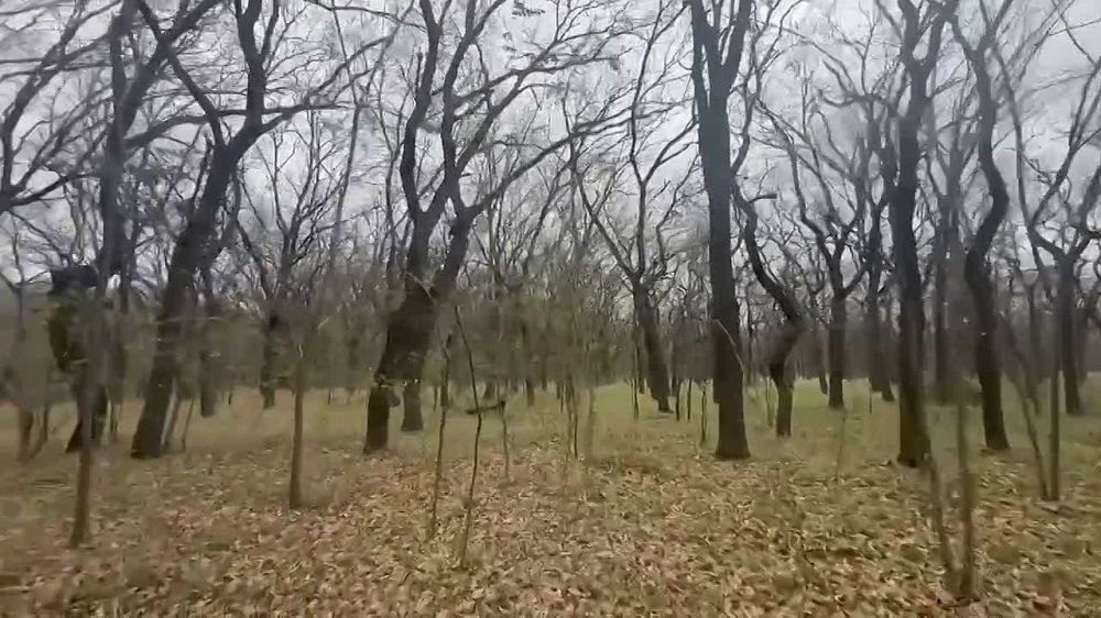 � ���������� ������� ������������ �������������� ������ �������� � ����� �������������� ���������� �����