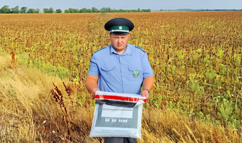 � ���������� ������� ���������� ����������������� � 2024 ���� ���������� 69 ����������� ���