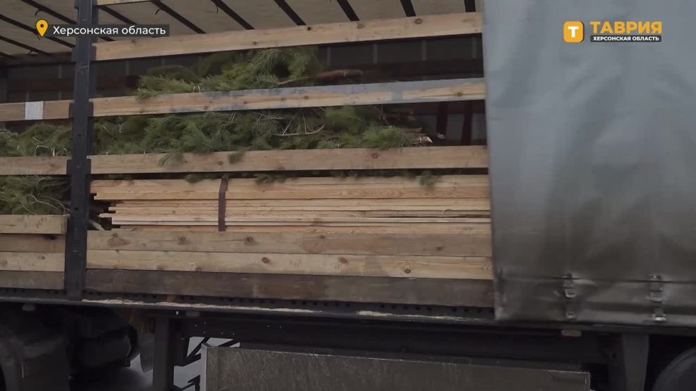 Ульяновцы доставили в Херсонскую область живые новогодние елки