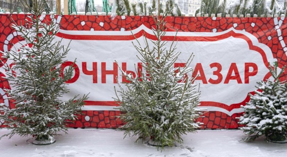 ������� ������ ������ ���� ������ � ���������� ������� � 20 ������� �� 7 ������