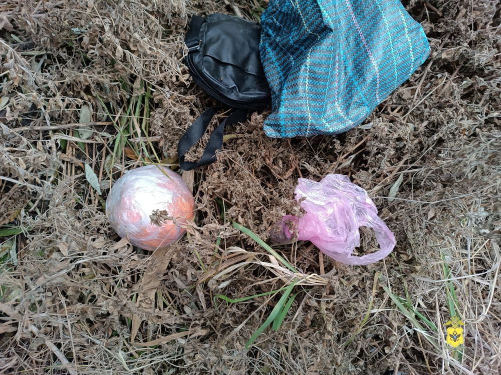 ������ � ����������� � ������� ������������