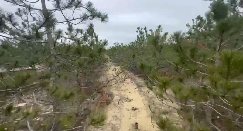 � ���������� ������� ������������ �������������� ������ �������� � ����� �������������� ���������� �����