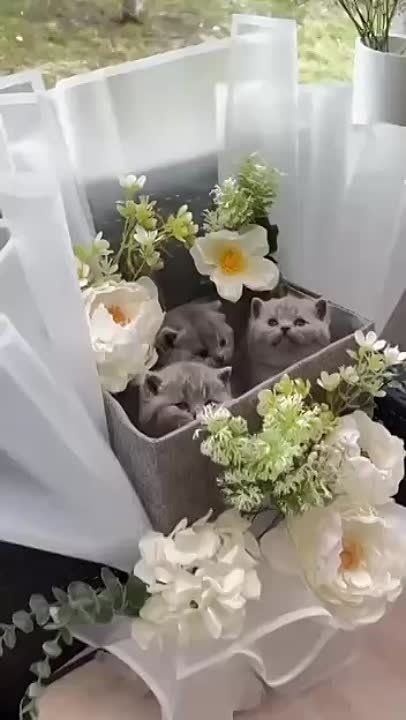 ������ ������� � �� ������ �����