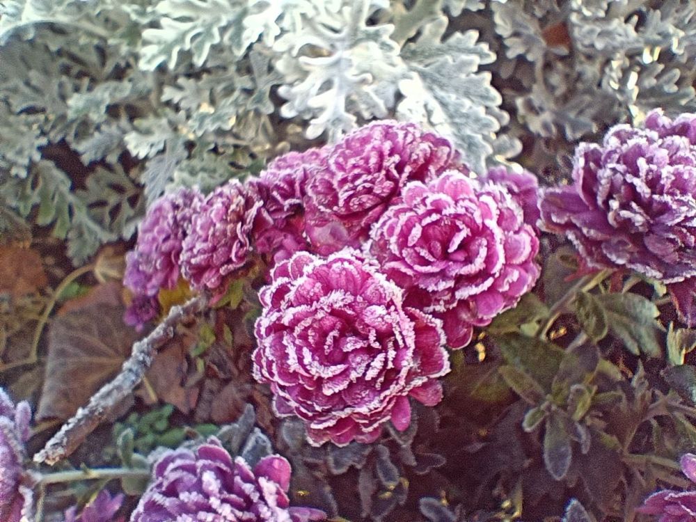 � ������ �����, �����������!