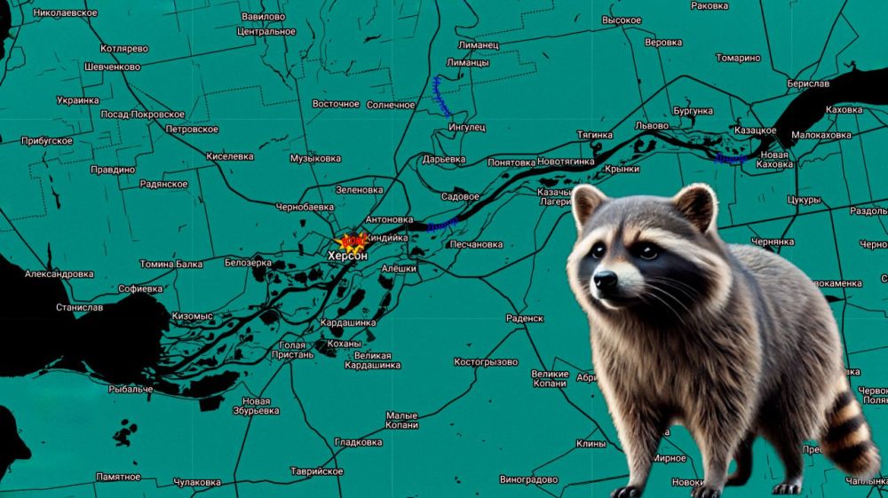 ���� �� �������: ������ ����, ������. ������������� ����������� ����� ������ ������� ��������� ����� ���� � ������� ���� ���������������� ������ ��� � ���� ������ ���������� � ������� ���������� ������� �������������...