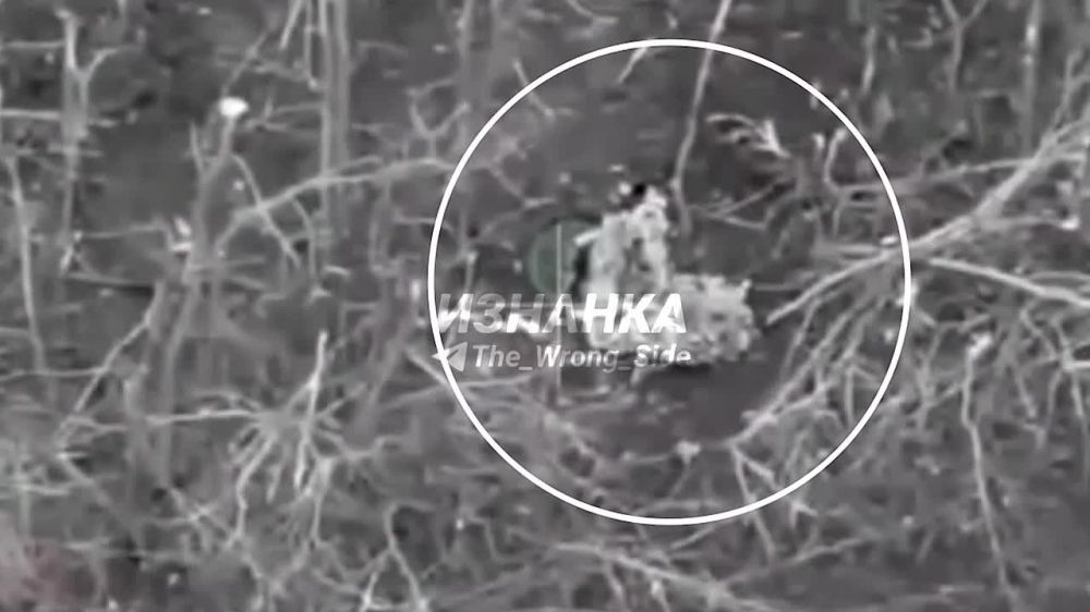 ������ �� ���������� ��������� � ����������-������ ���������� � ������ ���������� ��� �� @don_partizan