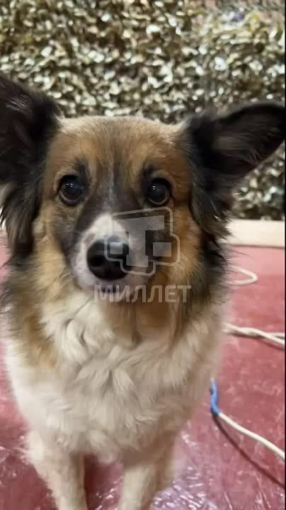 � ����� ����������� ������ ��������� ��� �������� ��� ��������