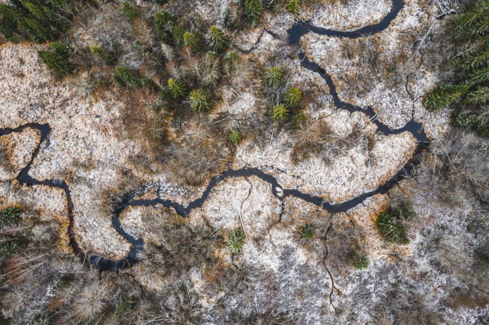 � ���������� ������� ��������� �� +7�