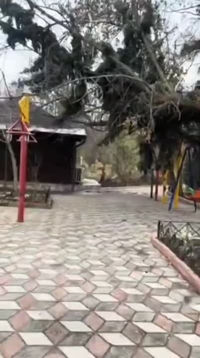 ������, ������������� ����, 5 �������