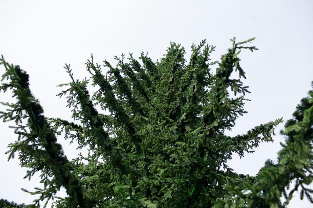 �� ������������ ���������� �������� ���� � ��������