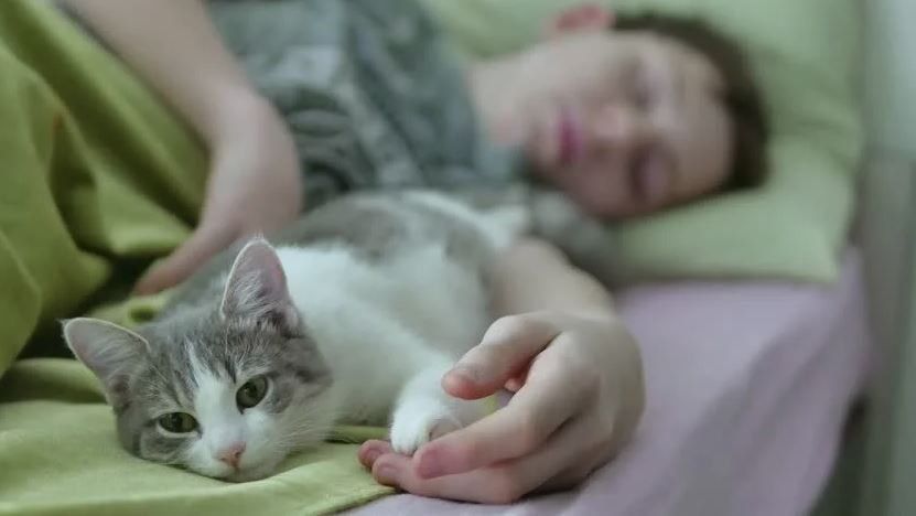 ������� - ����� ��������� �� ������� ������ � ���������