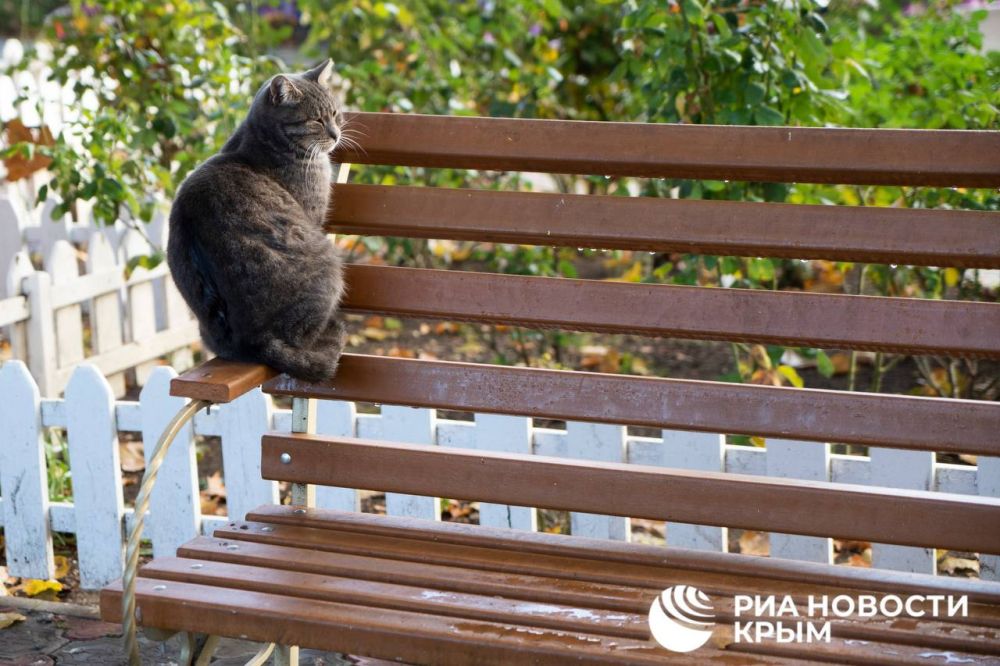 ������ �� ����� ����������� ������