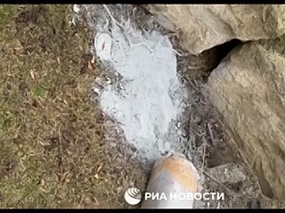 �������� � ��������� ��������� 12 ������ ���������������� ������, ������������� ������� ������, �������� ��� ������� �� ���� ��������� � ���� �������