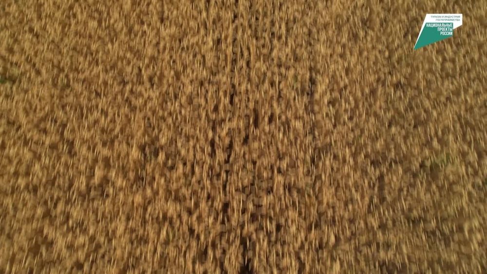 ����� ����������: ���������� ������� � �����, ��� ����� ����������� �� ������ �������� �����, ����������� ����� ������ �� ������ ������ � ������� ���� � ������� � �����������