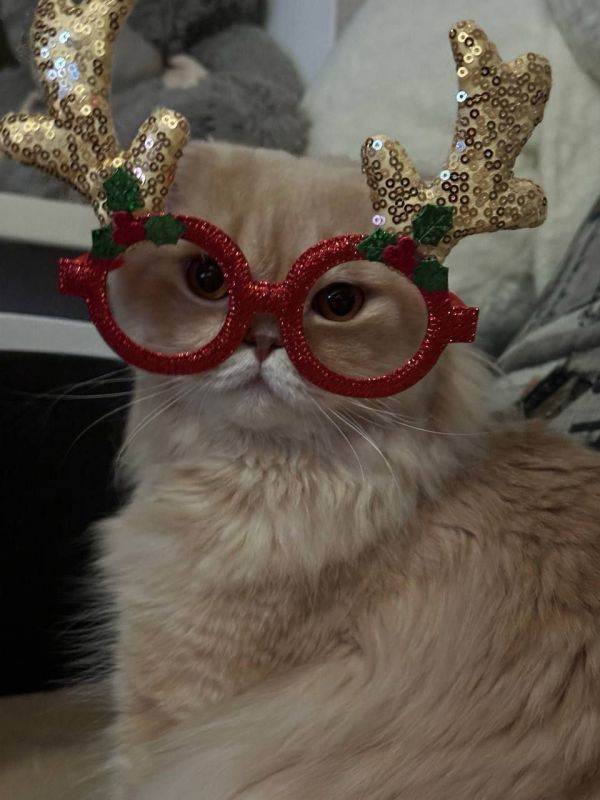 � ������ �����, �����������!