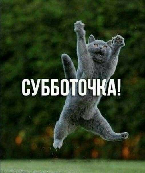 ��������� 7 �������. ������������� ���� ����������� ������� ���� ������������ ���� ���������-����������� ������ ��� ������ ���� ��������� ������� ���� ��������� ����� ������������ �������������� ���� �� ��������� ���������:...