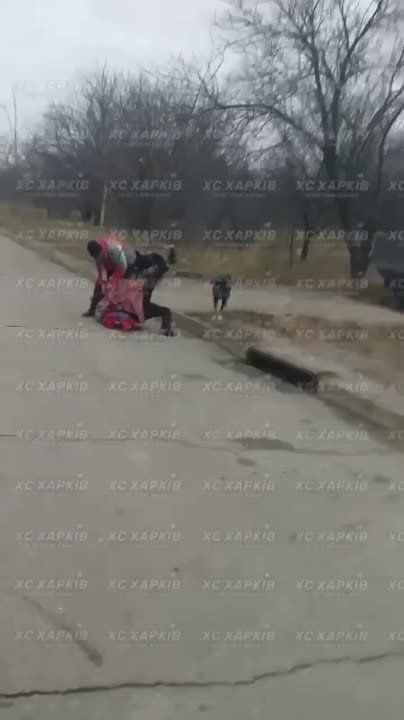 ������ ����� �� ��������