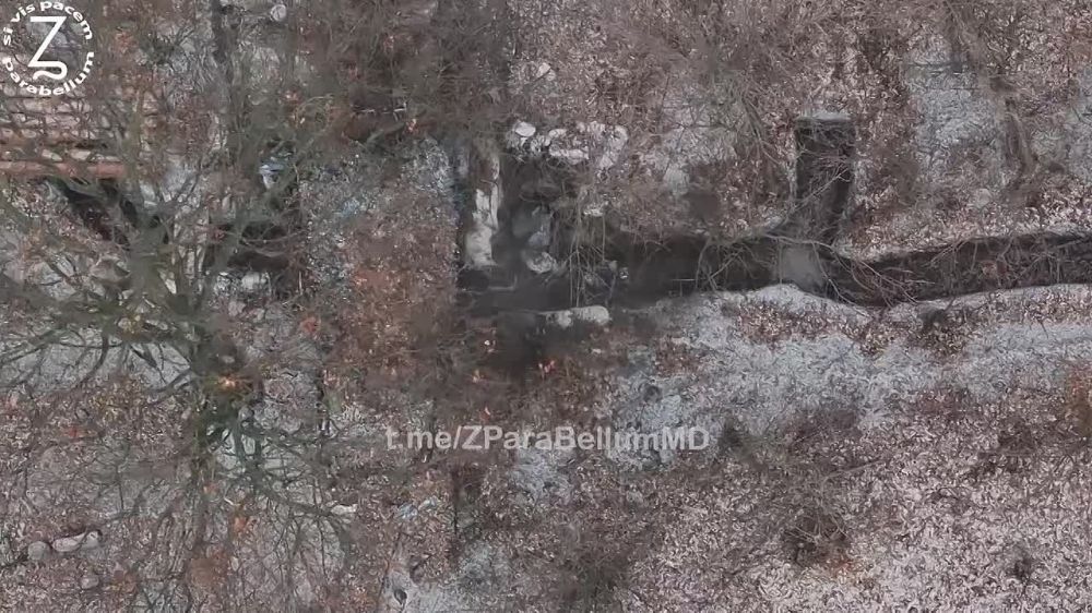 ���������� ���� ��� ������������� ������������ ��������, �������� ������������ ��������� ����˻ � ���������� � ������������ �����������: �����������, �����, �������, ����������