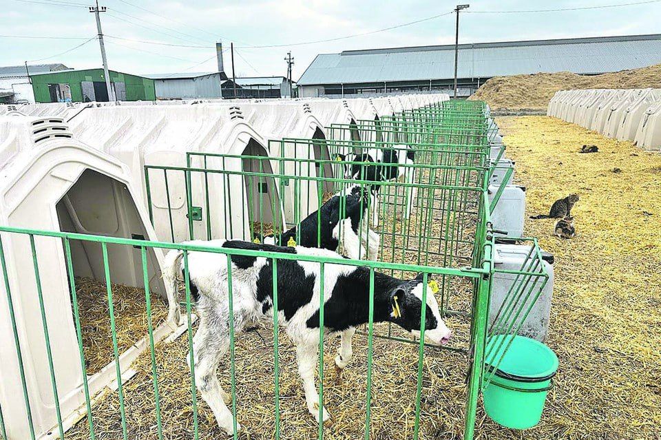 � ���������� ������� �������� ������ �������� �� ������������ � �����������