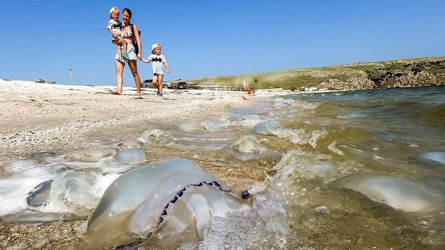 ����� ����������: ������� �������. ������ � �������� � �������� ���� �������� � 2025 ���� � 2025 ���� �������� ��������� �� �������� ����������� ����� � �������� ����. ���������� ���������� �������� � ������������...