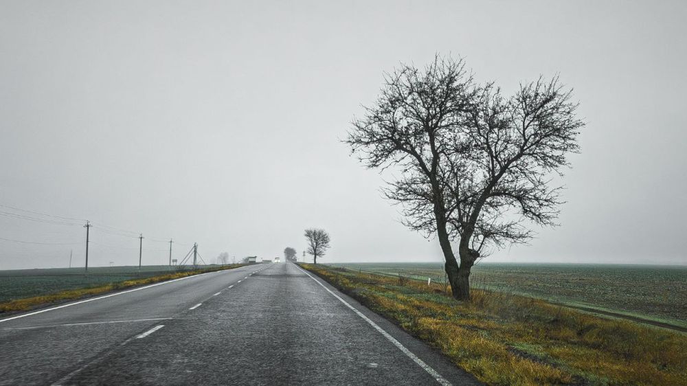 �������� ������: ���������� �������. ��� ������ ��������� ������, � ����� ����� ����. ���� ��������� ������ � ����� ������� ������� ���������� ������ ����. ����� ��������� ���� � ����, �������� ��������� ������������ �...