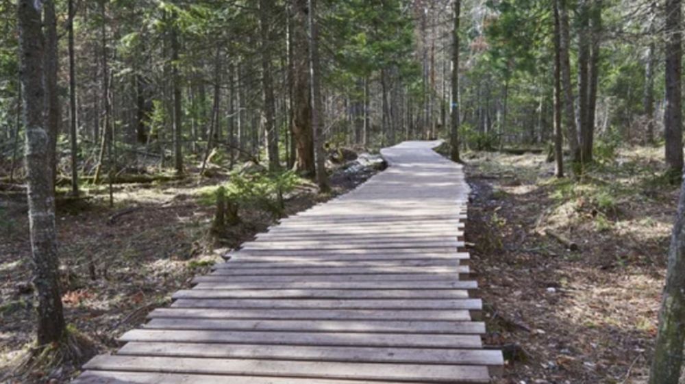 �� ���������� �������� ������������ ���� � ����������