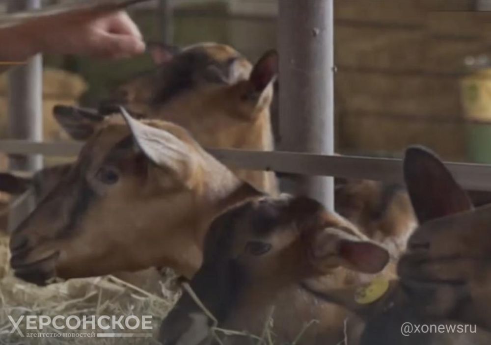 � ���������� ������� �������� ������������ ���� ������-��������� � ���������� �������������