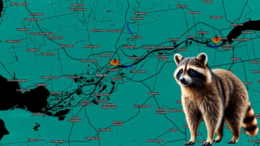 ���� �� �������: ������ ����, ���������� �� �����������: