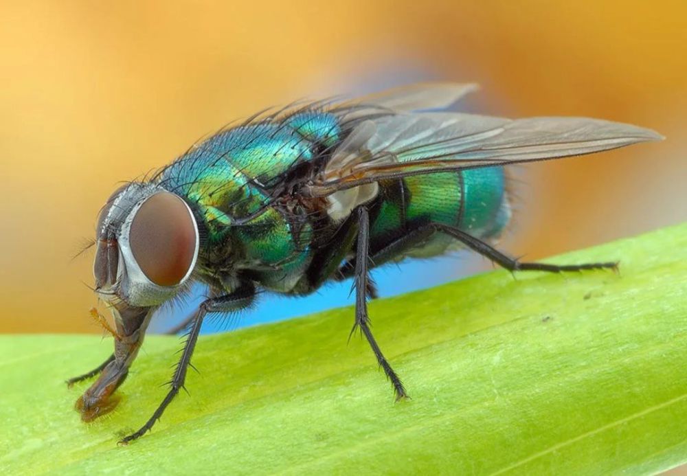 . � �� ����� ��� ���� ������ ����� ��