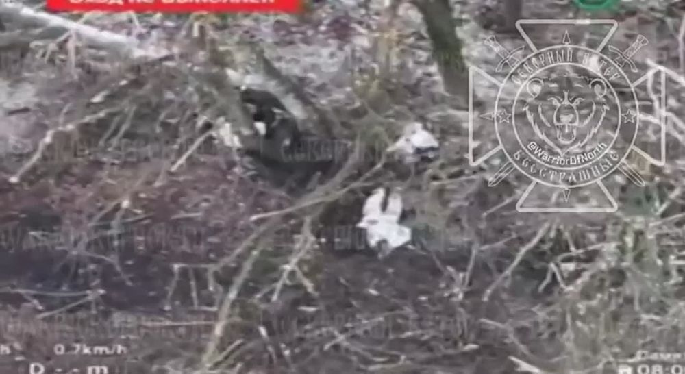 ������������ ����. ������ �������� ��� ������ �������� �������, �� ������ ������ �������� � �������� ������ � �������